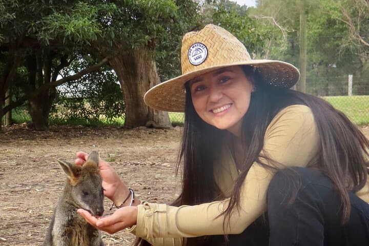 Phillip Island Penguin Parade: Day Tour from Melbourne to See Little Penguins & Coastal Wildlife photo 4