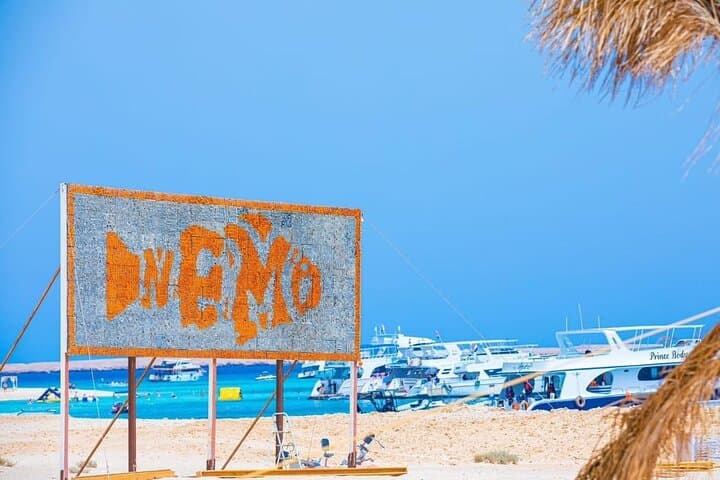 Hurghada 6-Island Speedboat Cruise: Dolphin Watching, Snorkelling & Sandbank Visit photo 5