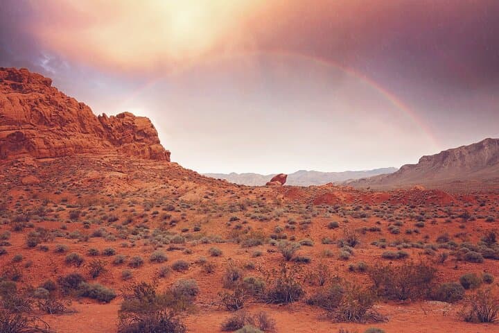Valley of Fire State Park Tour from Las Vegas — Day Trip to Rainbow Vista, Atlatl Rock & Petroglyphs photo 2