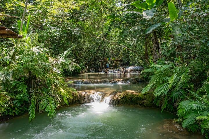 Llano Grande Waterfalls Tour from Huatulco — Waterfalls, Coffee & Traditional Medicine
