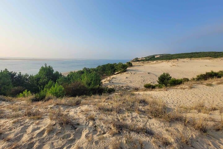 Climb Dune du Pilat & Taste Arcachon Bay: Private Day Tour to the Oyster Villages photo 4