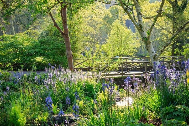 RHS Garden Rosemoor — Explore Devon's River-Valley Gardens and Heritage Orchard photo 2