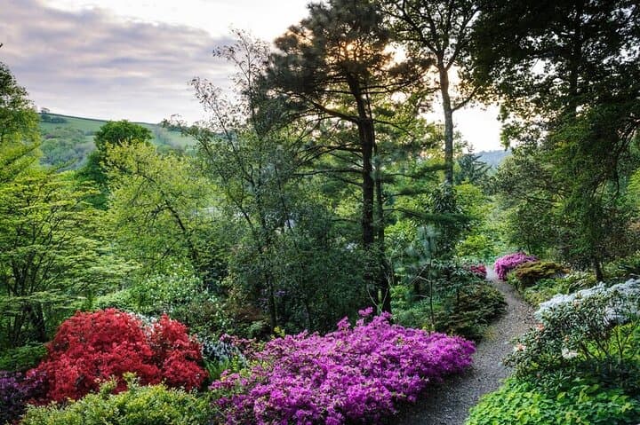 RHS Garden Rosemoor — Explore Devon's River-Valley Gardens and Heritage Orchard photo 4