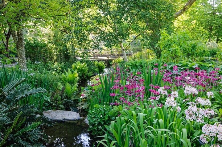 RHS Garden Rosemoor — Explore Devon's River-Valley Gardens and Heritage Orchard photo 6