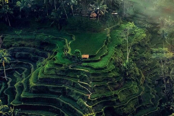 Ubud Ayung River Rafting, Monkey Forest & Tegenungan Waterfall — Full-Day Adventure photo 2