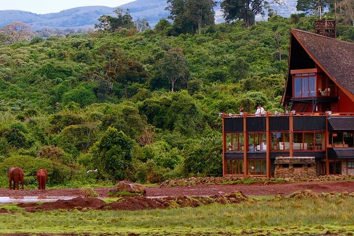 6-Day Rhino Conservation Safari: Ol Pejeta, Samburu, Solio & Aberdares photo 3