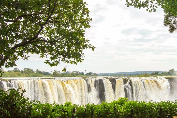 Guided Victoria Falls Tour (Zimbabwe Side) — Big Tree, Boiling Point & Rainforest Walk photo 6