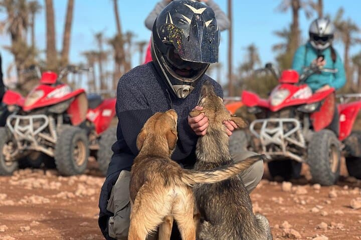 Quad Bike Tour in Marrakech's Palmeraie: Palms, Dunes & Berber Tea photo 2