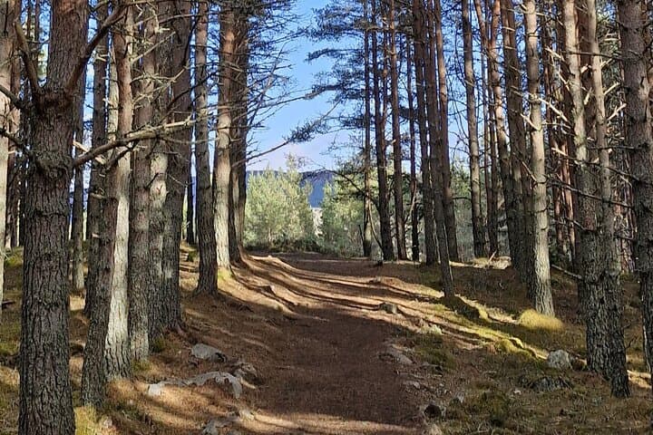 Custom Private Day Tours from Glasgow: Castles, Lochs & Whisky Trails photo 6