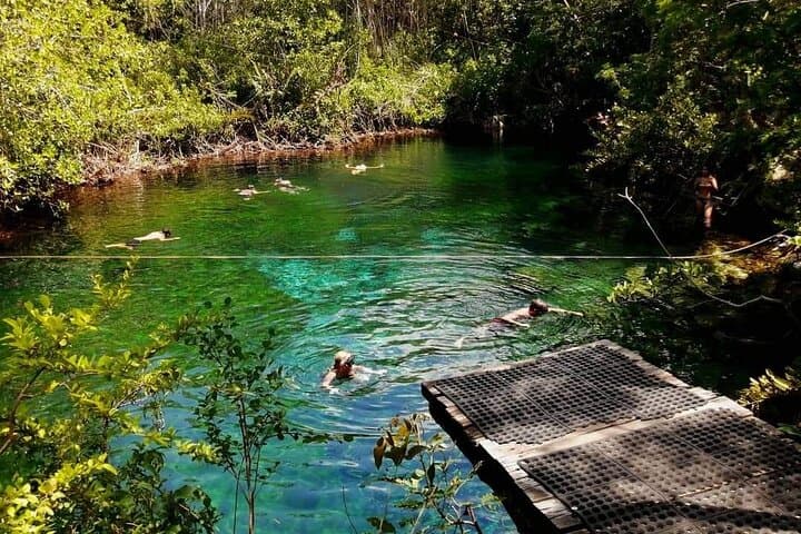 Full Day Tulum Paradise Beach — Snorkel with Sea Turtles & Visit Tulum Ruins photo 3