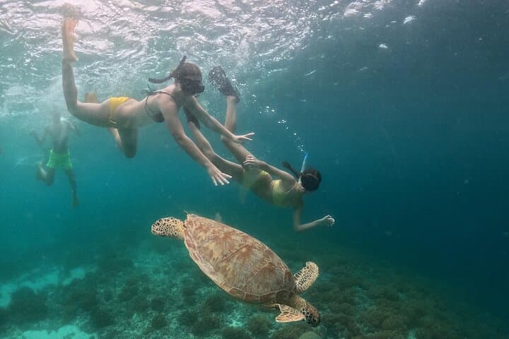 Private 3 Gili Snorkel Trip: Turtle Point, Coral Gardens & Underwater Statue