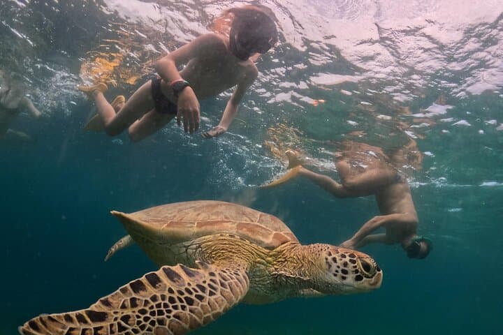 Private 3 Gili Snorkel Trip: Turtle Point, Coral Gardens & Underwater Statue photo 2