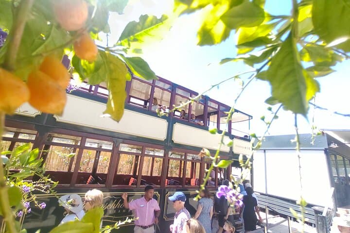 Full-Day Cape Winelands: Private Stellenbosch & Franschhoek Wine Tram Experience