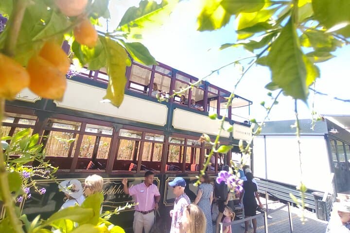 Full-Day Cape Winelands: Private Stellenbosch & Franschhoek Wine Tram Experience photo 4
