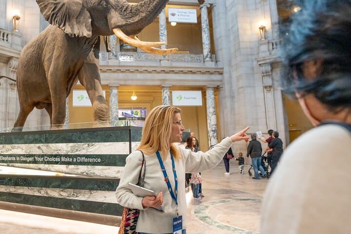 Custom National Mall Walking Tour: See DC's Highlights in a Day photo 2