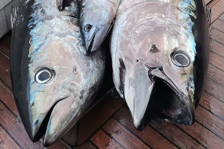 Big-Game Fishing from Split & Trogir — Private Catamaran Adventure for Bluefin Tuna photo 4