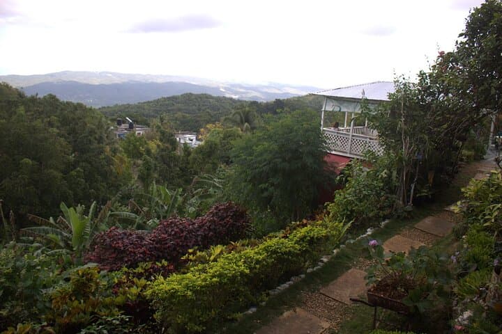 Ras Natango Gallery and Garden: Montego Bay's Hilltop Botanical Art Escape photo 3