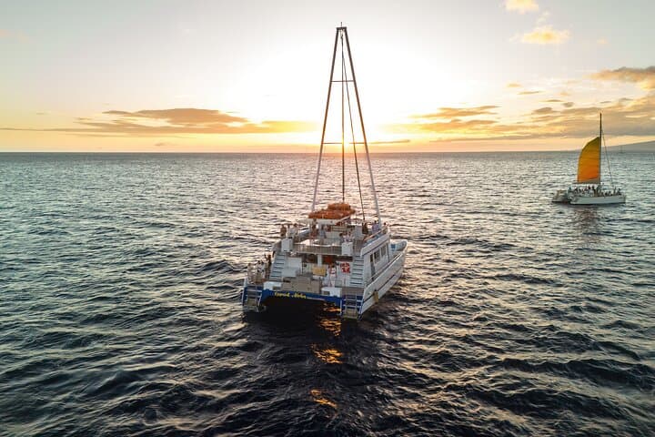 Waikiki Sunset Cruise from Oahu — Diamond Head Views & Marine Life photo 3