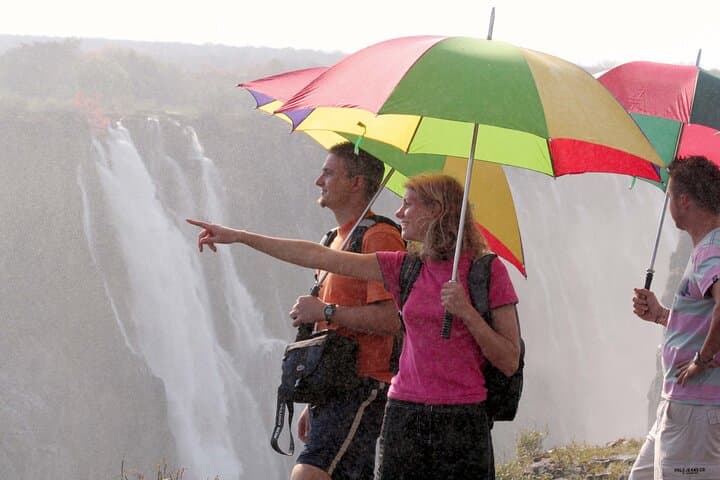 Victoria Falls Guided Tour: Zimbabwe to Zambia Rainforest, Bridge & Zambezi Views photo 4