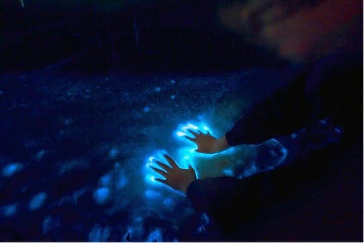Sunset & Bioluminescence Boat Tour at Los Arcos, Puerto Vallarta photo 2