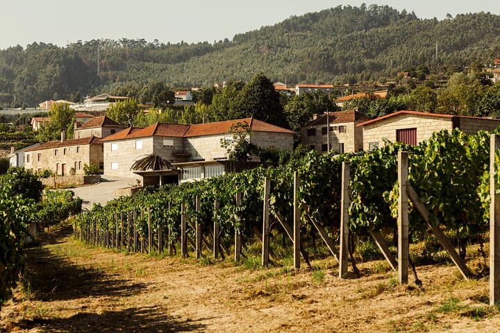 Douro Valley Green Wine Tour from Porto — Small-Group Day Trip photo 6