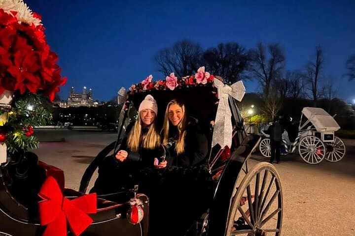 Central Park Moonlight Horse & Carriage Tour with Photo Stops