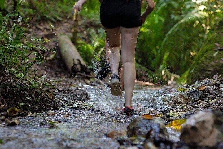 Nogalito Ecopark Jungle Hike & Waterfall Swim — Puerto Vallarta Day Adventure photo 2