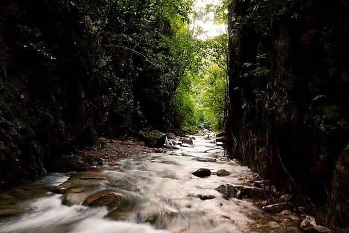 Nogalito Ecopark Jungle Hike & Waterfall Swim — Puerto Vallarta Day Adventure photo 3