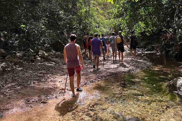 Nogalito Ecopark Jungle Hike & Waterfall Swim — Puerto Vallarta Day Adventure photo 1