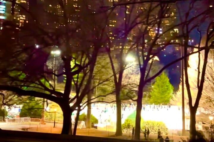 Central Park Moonlight Horse & Carriage Tour with Photo Stops photo 5