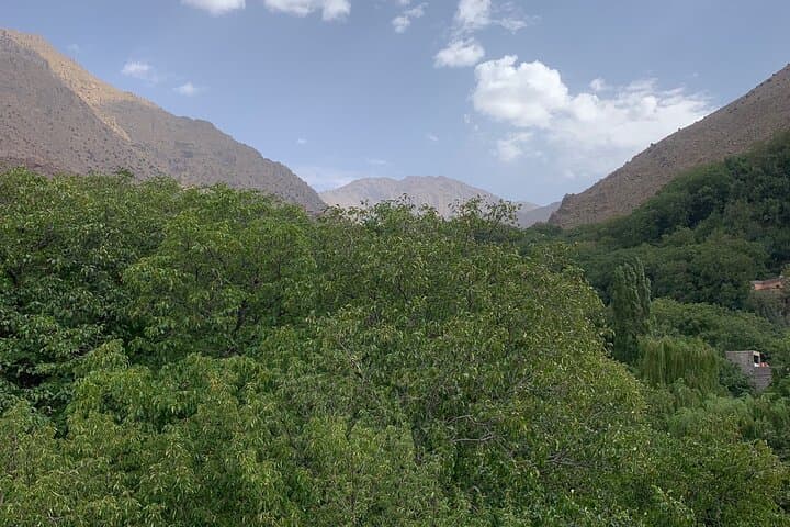Explore Ouirgane: Full-Day Atlas Hike, Market & Berber Lunch from Marrakech photo 5