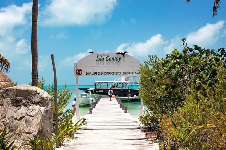 Exploring Isla Contoy and Isla Mujeres: Snorkeling and Nature Adventures in the Mexican Caribbean photo 3