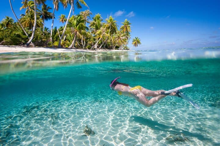 Exploring Isla Contoy and Isla Mujeres: Snorkeling and Nature Adventures in the Mexican Caribbean photo 6