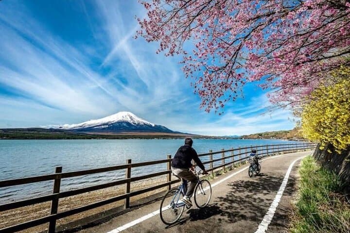 Mount Fuji & Hakone Customizable Day Tour with Private English-Speaking Driver photo 4