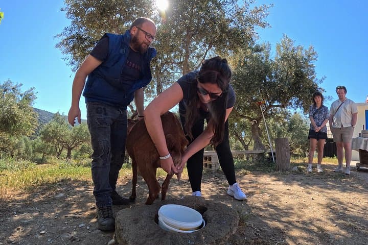 Full-Day Crete Jeep Safari to Lassithi Plateau with Cooking & Pottery