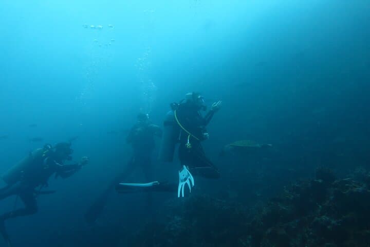 Night Dive Adventure in Academy Bay — Puerto Ayora After Dark photo 6