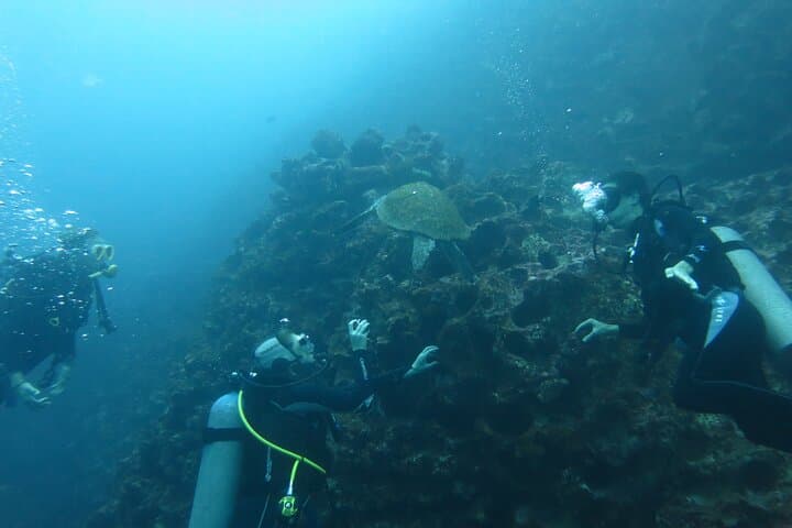 Night Dive Adventure in Academy Bay — Puerto Ayora After Dark