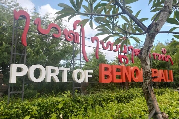 Ubud Private Tour From Benoa Port: Rice Terraces, Temples & Waterfall (All-Inclusive)
