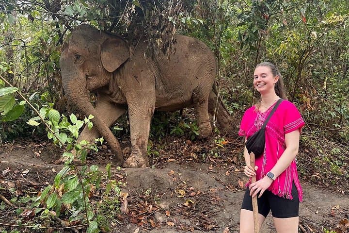 Chiang Mai Elephant Sanctuary and Doi Inthanon Hike: Pha Dok Siew, Twin Pagodas & Karen Coffee photo 1