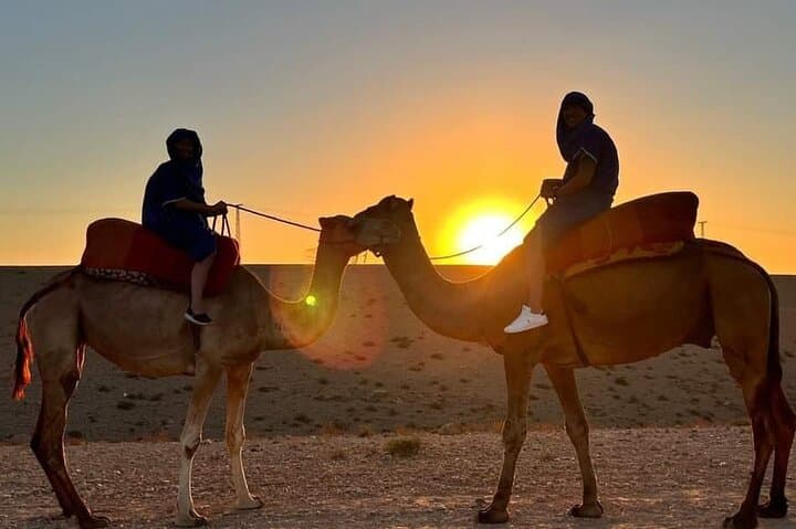 Sunset Camel Ride in Marrakech's Palmeraie Oasis photo 2