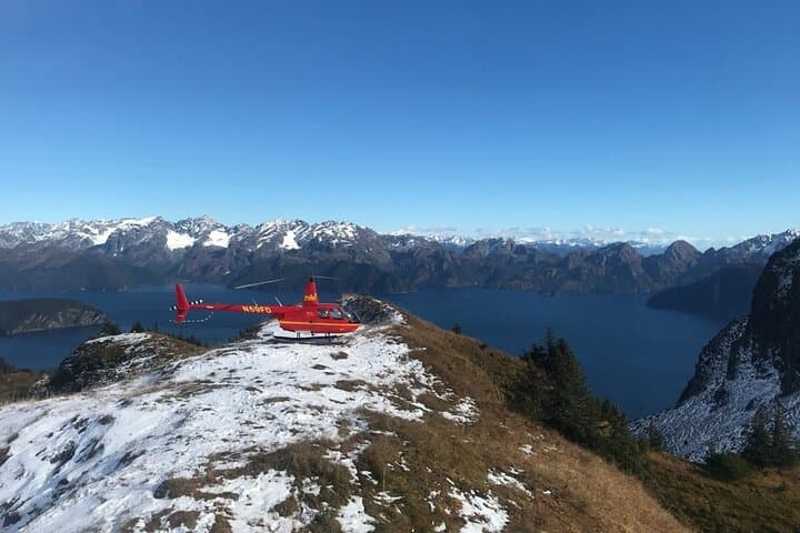 Seward Helicopter Alpine Hike and Picnic: Scenic Flight, Short Hike, Mountain Lunch photo 2