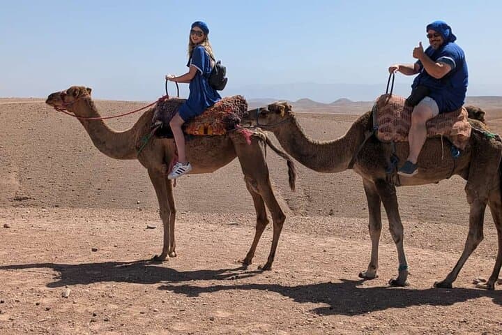 Sunset Camel Ride in Marrakech Palmeraie — 1-Hour Camel Trek & Mint Tea photo 5