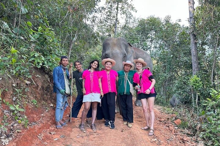 Ethical Elephant Observation Near Chiang Mai: Half-Day Sanctuary Experience