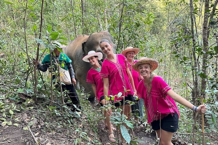 Ethical Elephant Observation Near Chiang Mai: Half-Day Sanctuary Experience photo 2