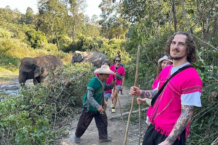 Ethical Elephant Observation Near Chiang Mai: Half-Day Sanctuary Experience photo 3