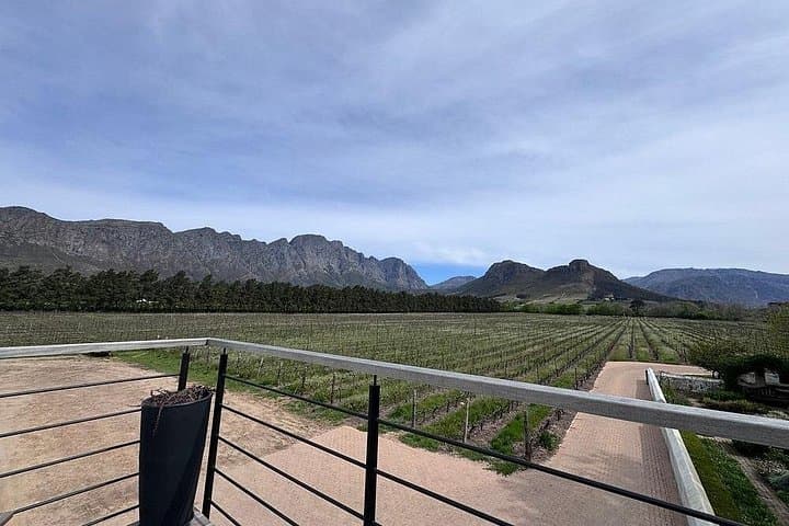 Franschhoek Wine Tram Hop-On Hop-Off Day Tour from Cape Town photo 4