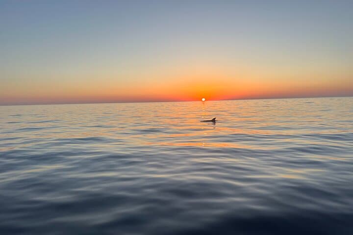 Calvi Aperitif Sunset Cruise: Revellata Swim & Wine at Dusk photo 3