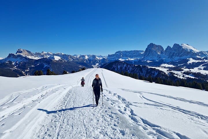 Winter Hiking and Sledding in the Dolomites: Bolzano Guided Day Trip photo 3