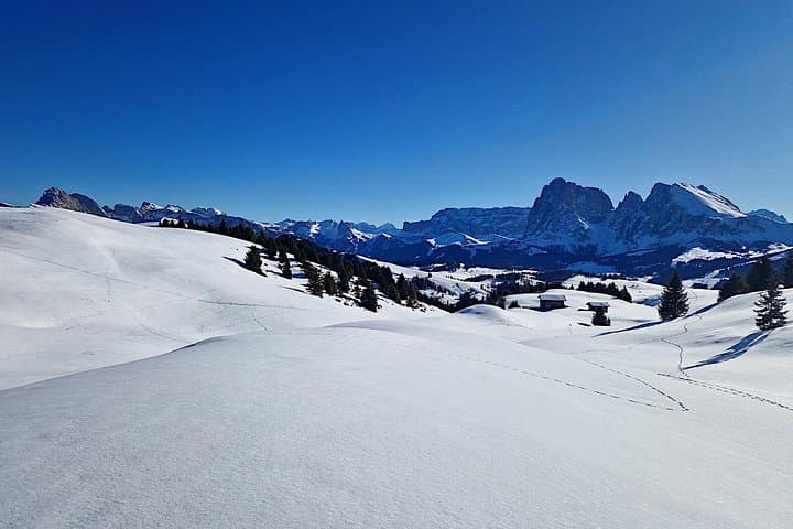Winter Hiking and Sledding in the Dolomites: Bolzano Guided Day Trip photo 6