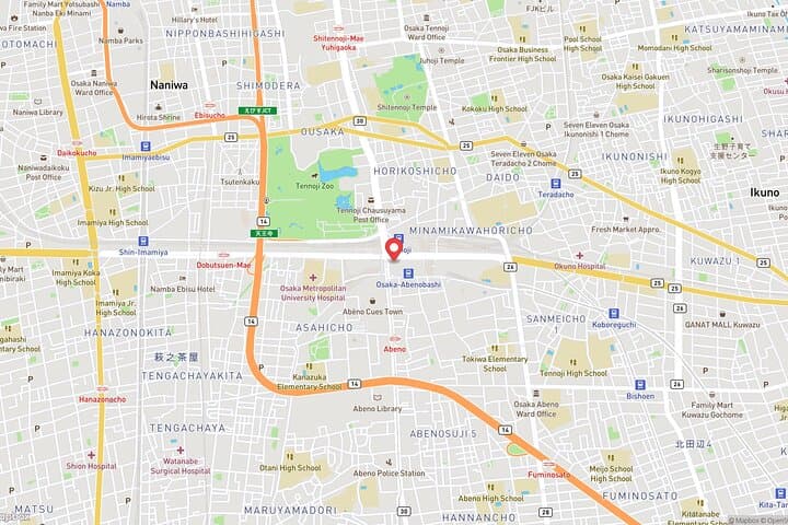 Top of Osaka: A Practical Guide to Abeno Harukas 300 Observatory photo 6